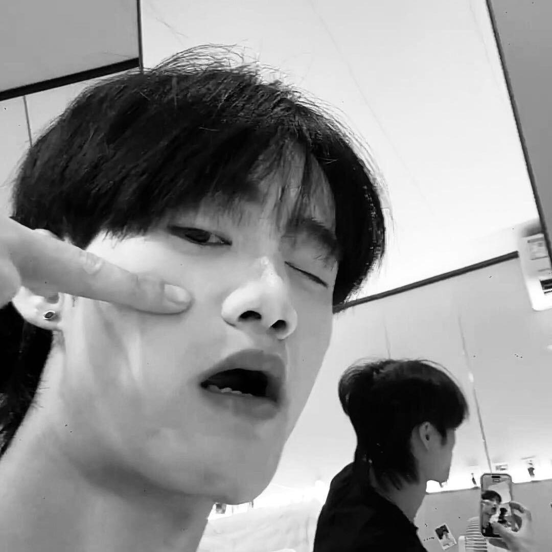 大唐k9营销-果果