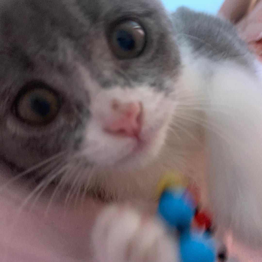 aaa吴记副食店（艳）