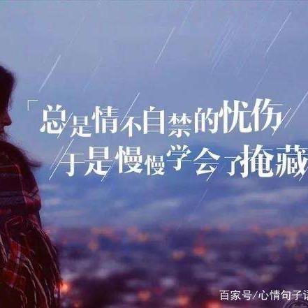 翱翔的燕子
