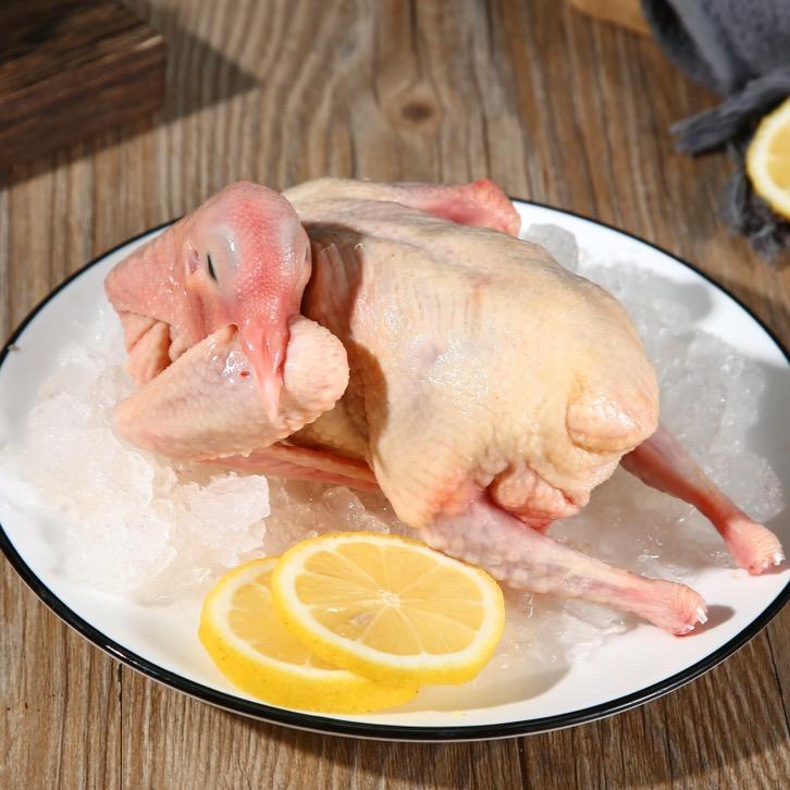 野谷硒鸽-鸽子食材厂家批发