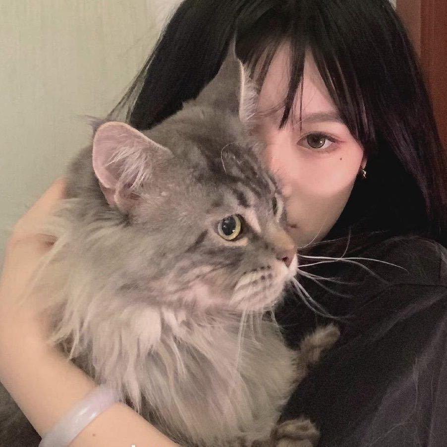 小绿不吃汉堡包