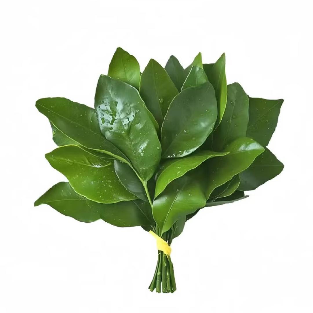 淼淼