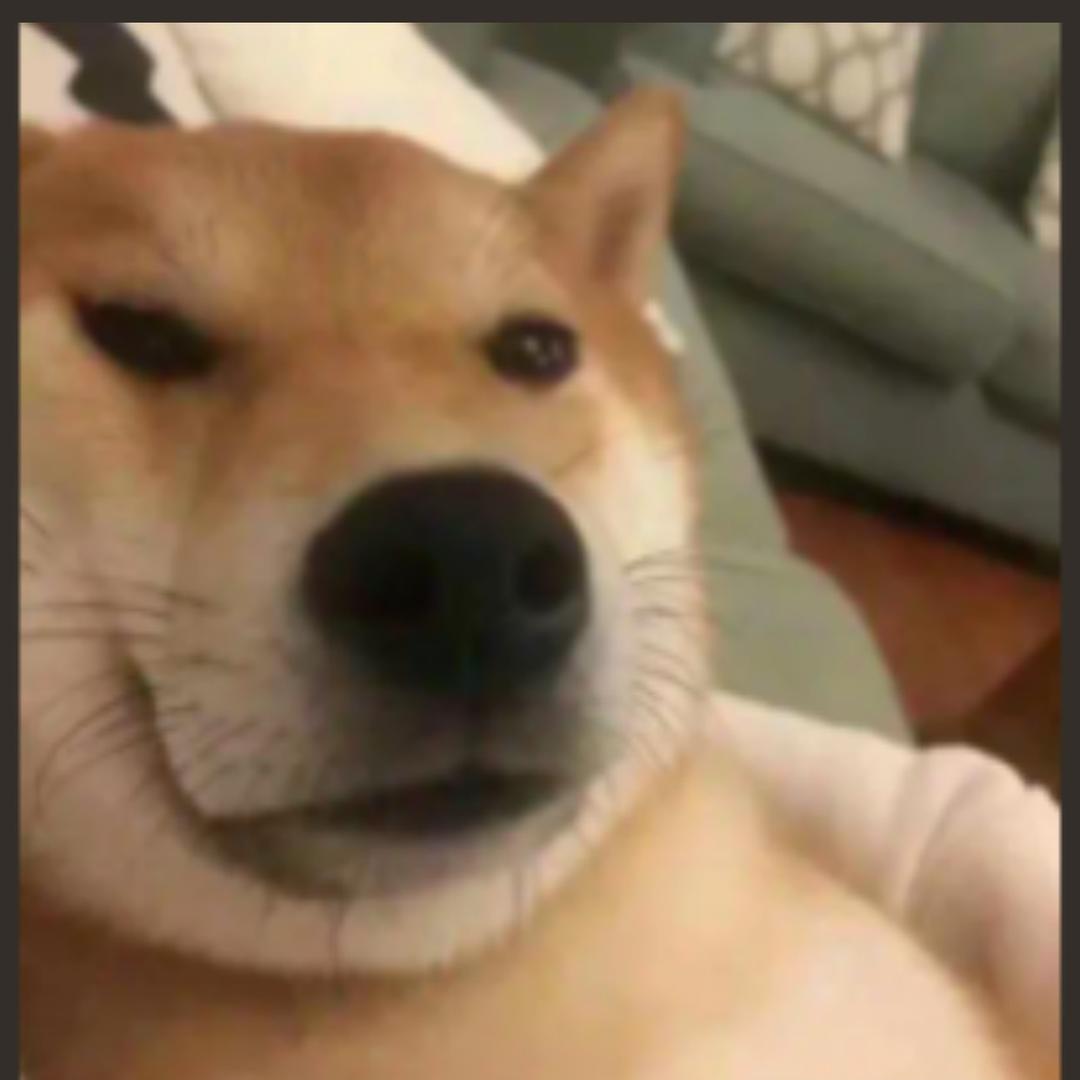 简单看世界