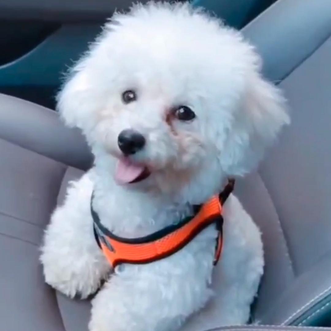 ✨Wᴴ