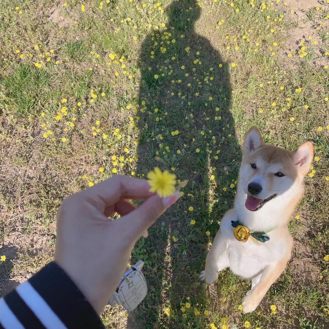 🧚‍♀️