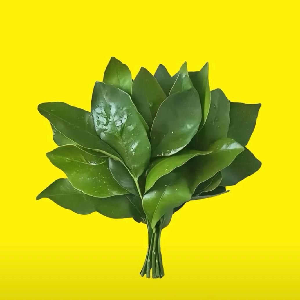 秀儿同学