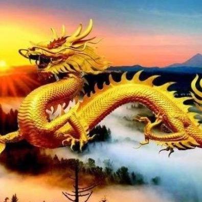 🔥龍仔🔥好物分享