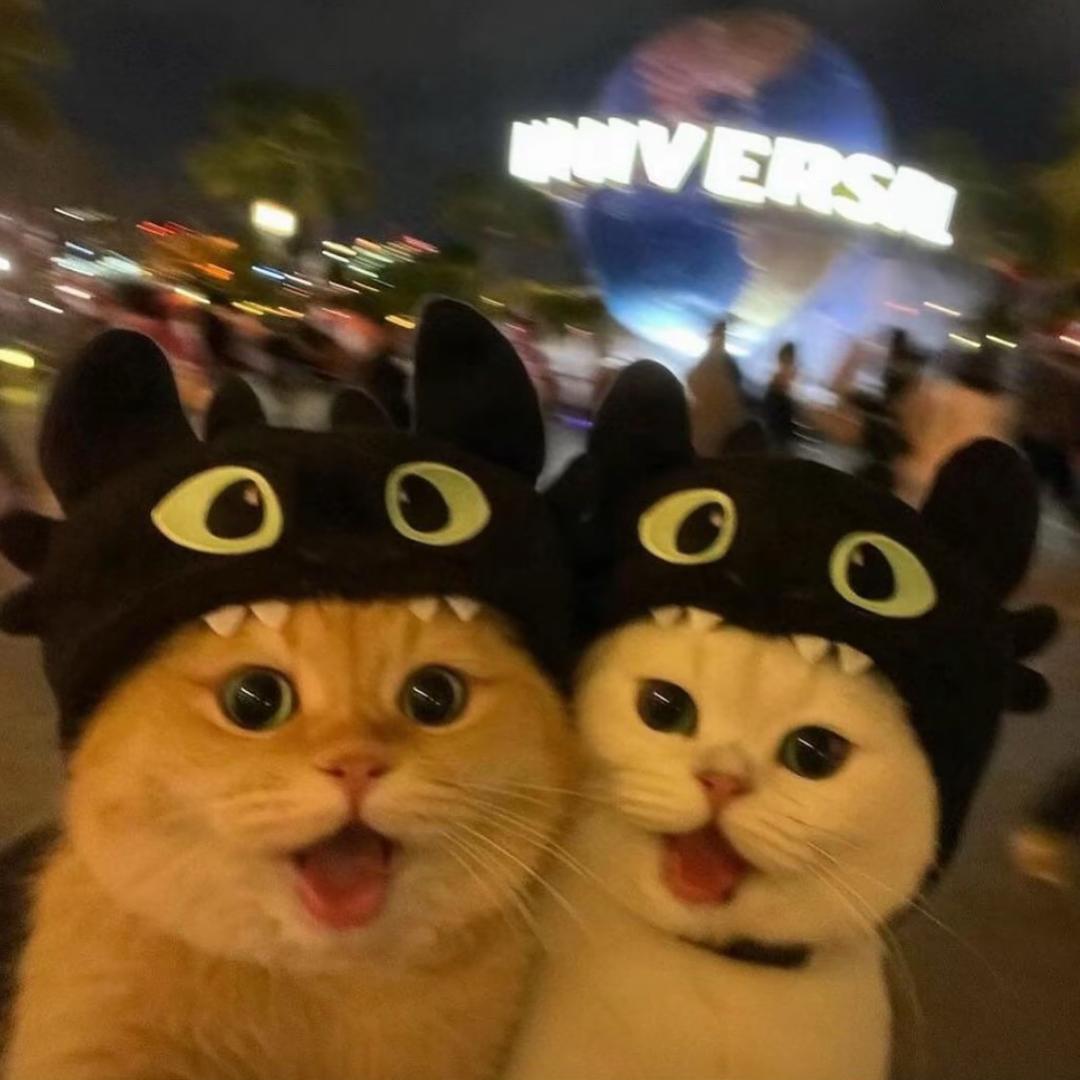 liii