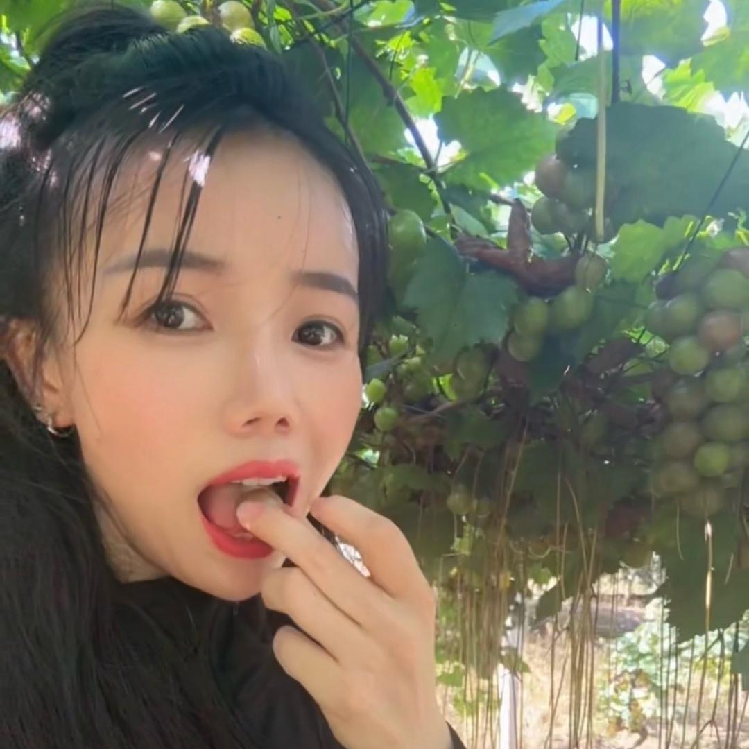 广西航仔生态果业