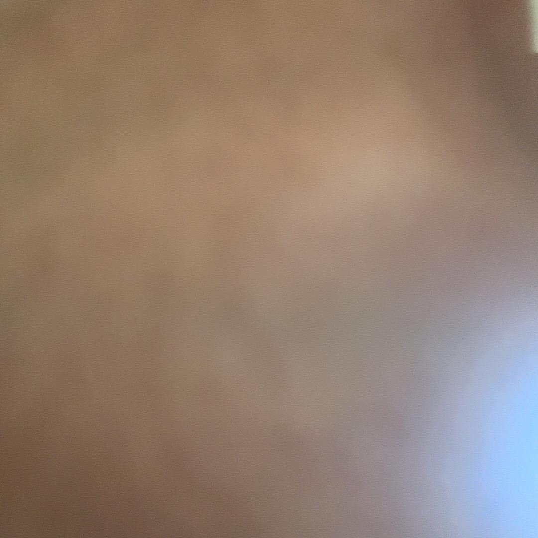鱼🐟