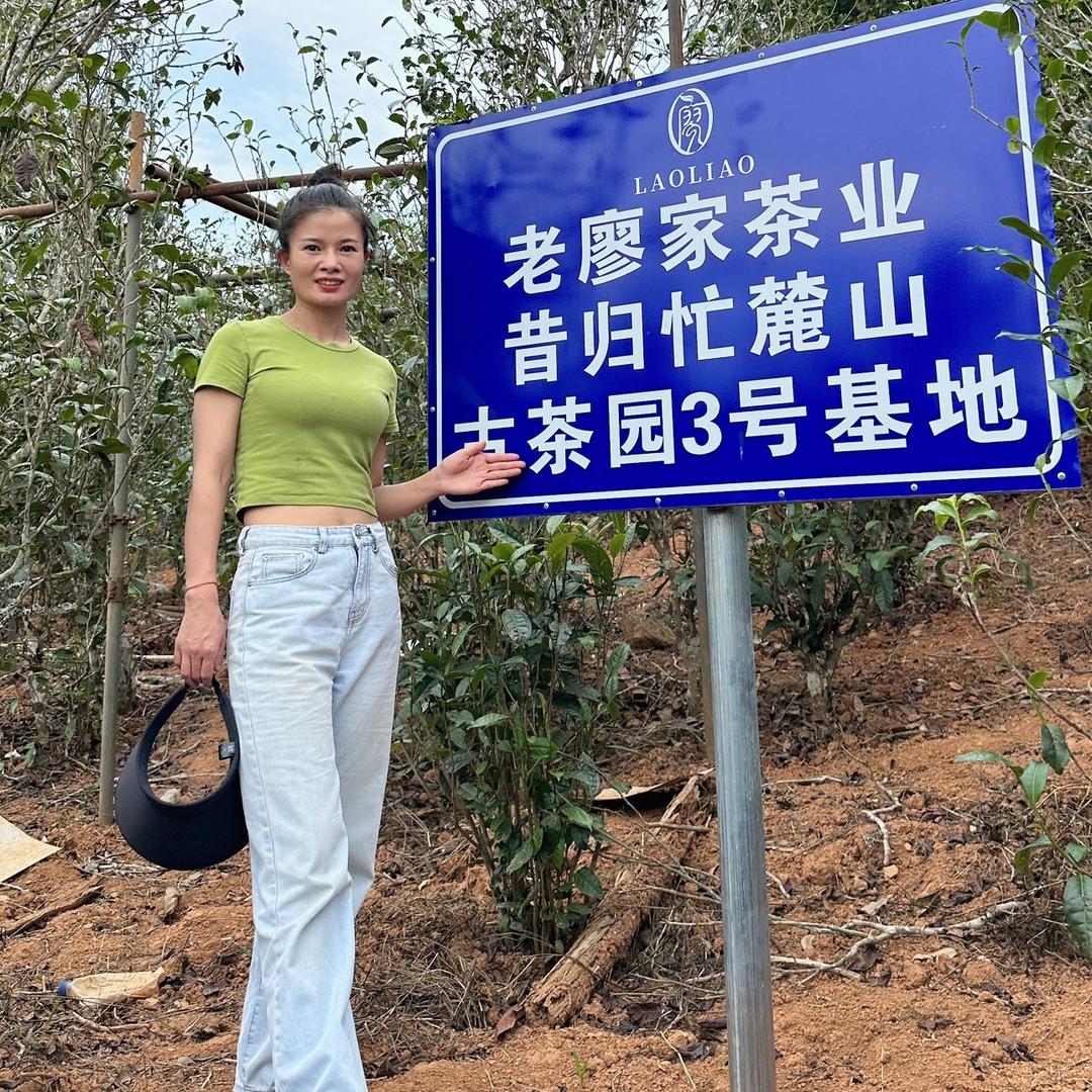 云南临沧昔归茶核心区～34号（小妹）