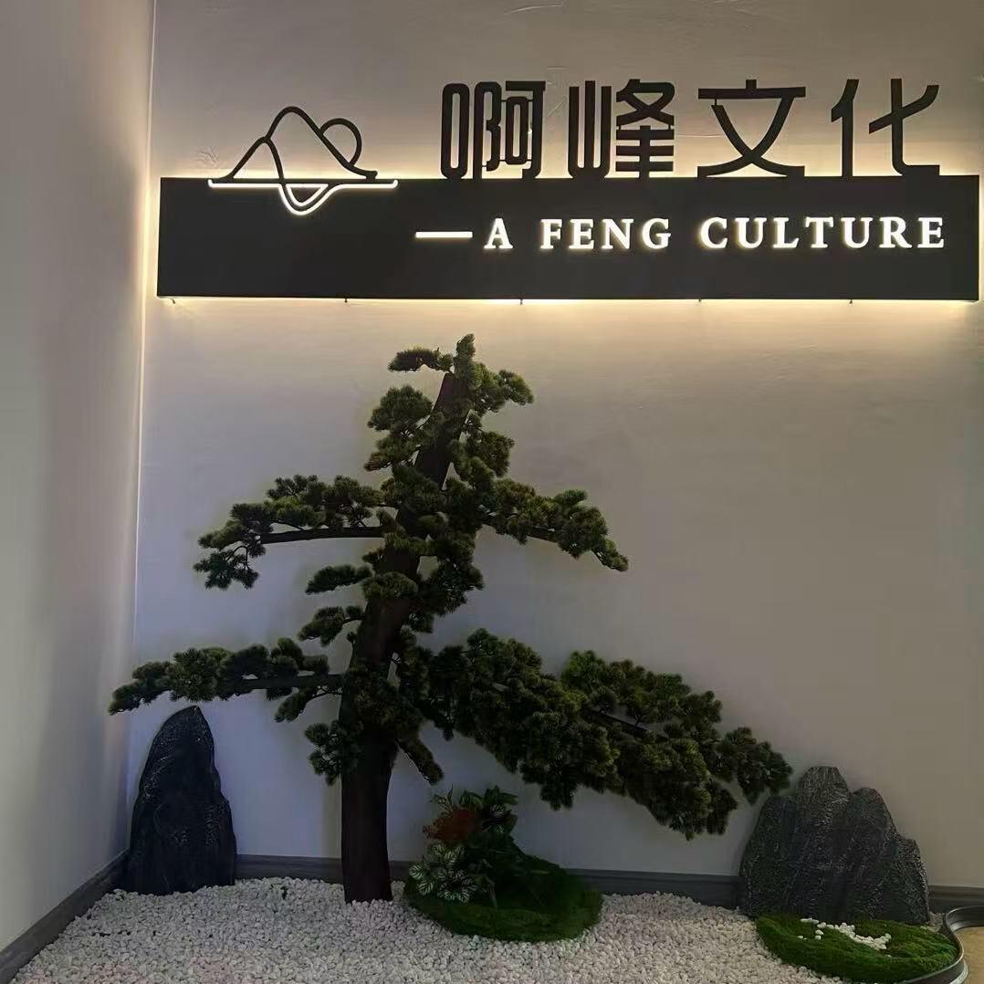 啊峰传媒
