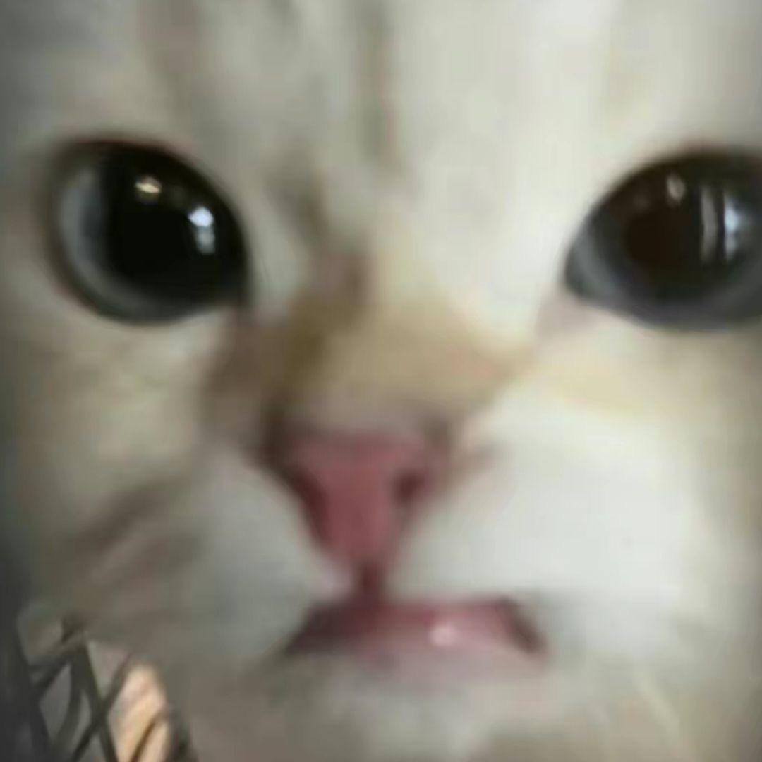 起不来