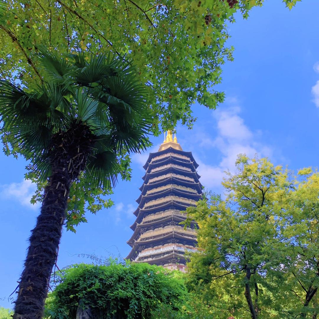 大荔枝去哪儿