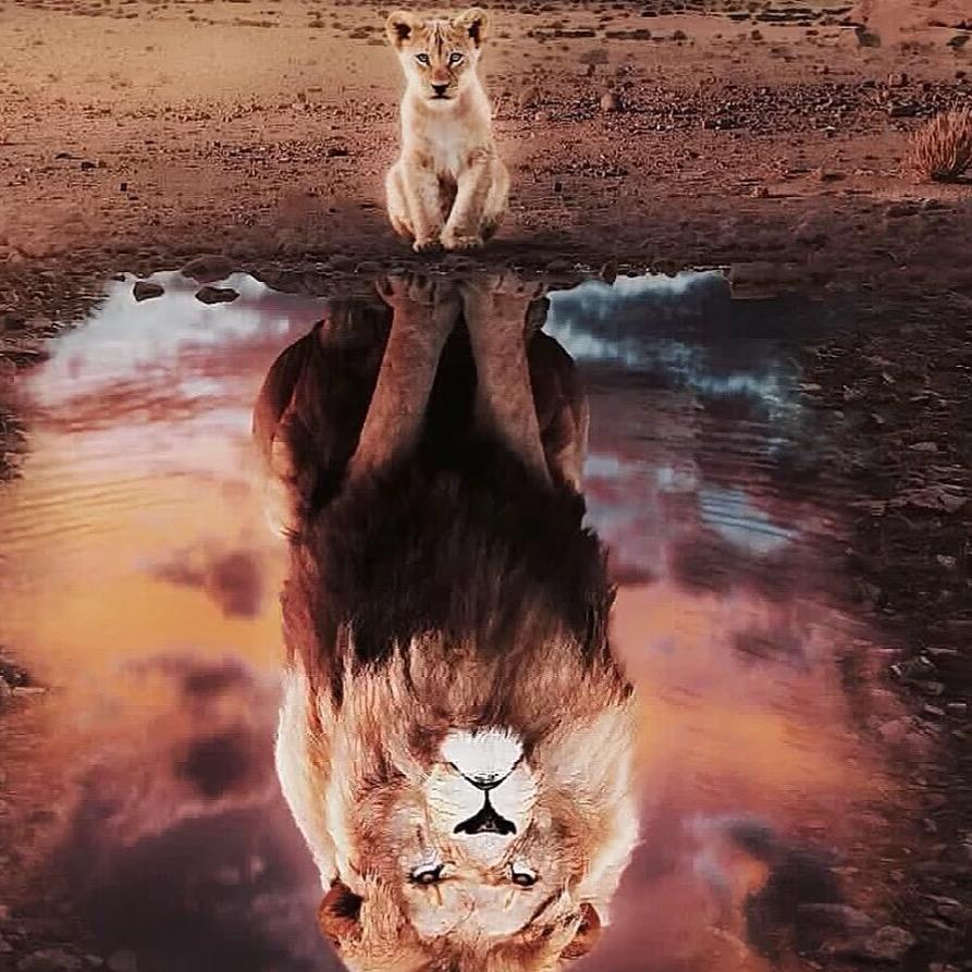 天生野馬何為歸途