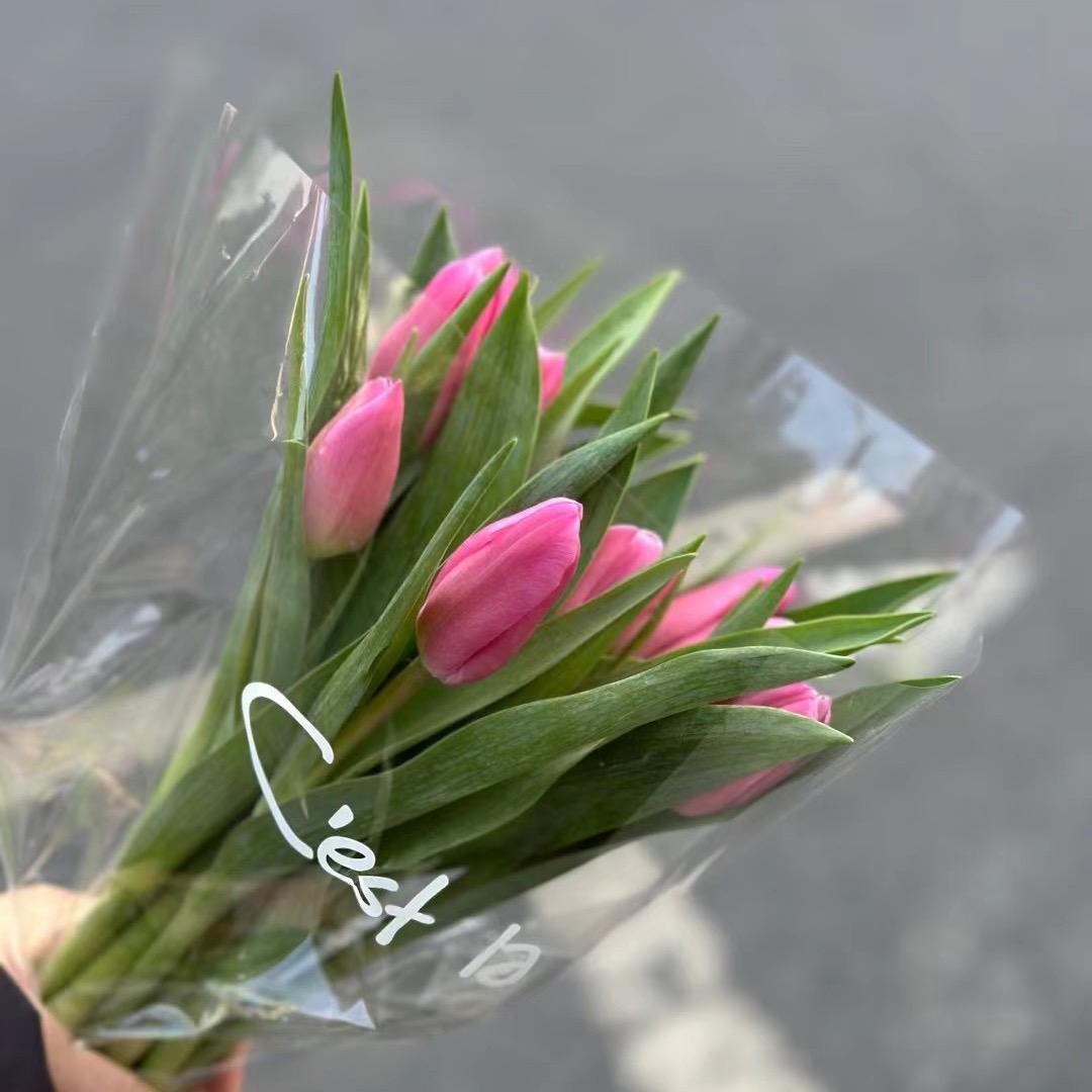 殷飞尼特优选778