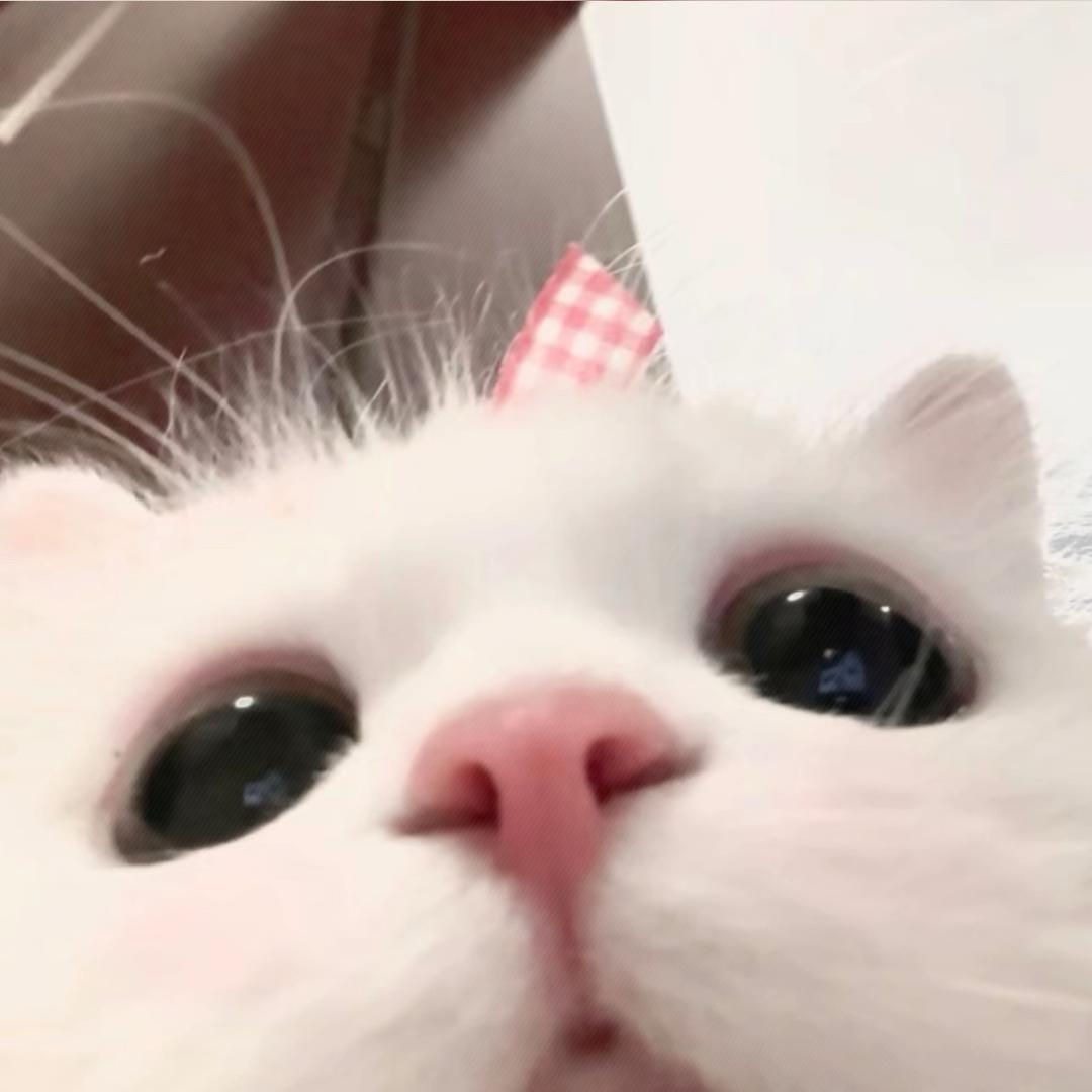 鱼幼薇