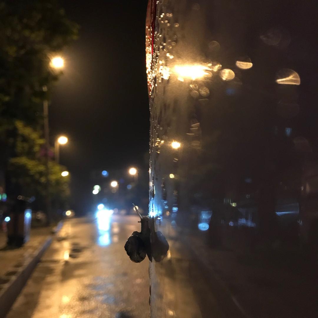 超音速蜗牛