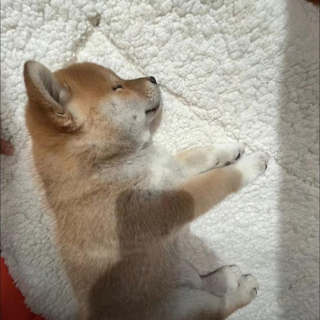 生活点滴