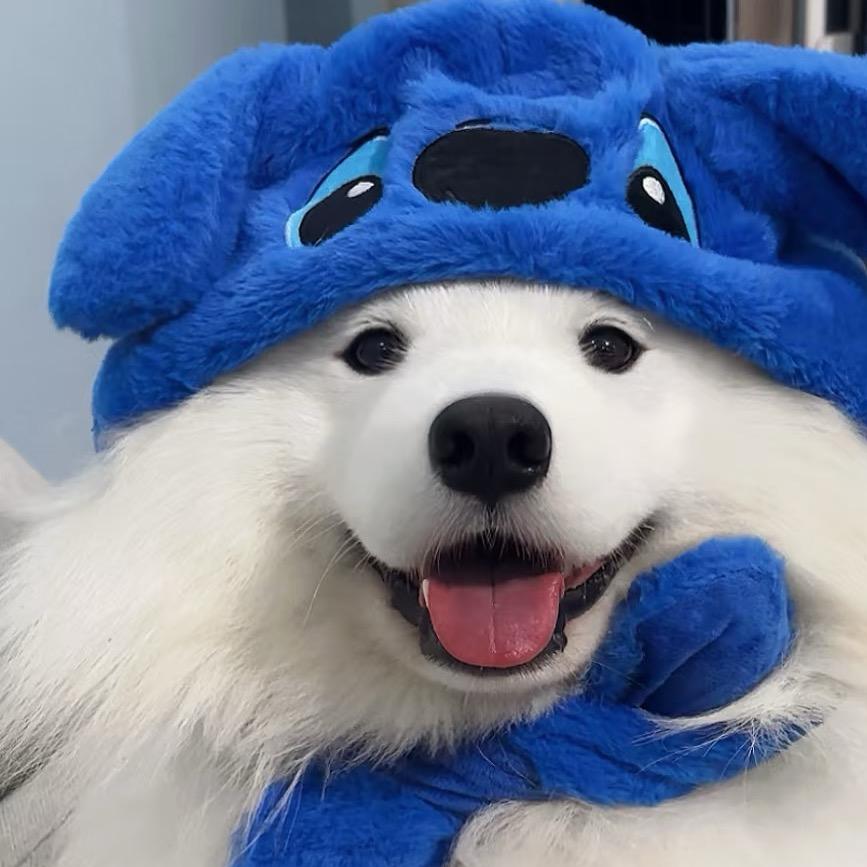 泰白