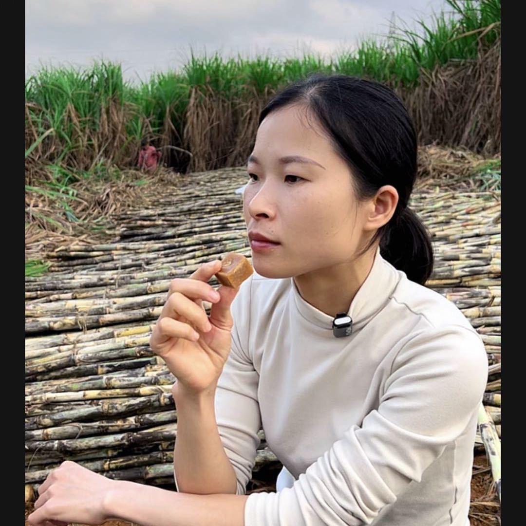 杨艳农业