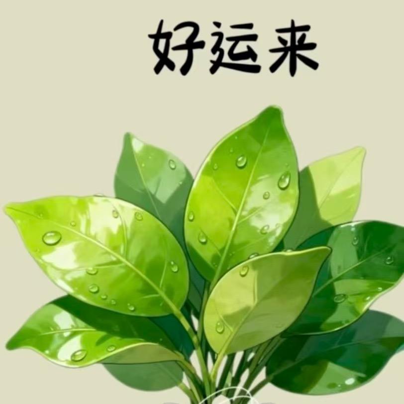 ✨幸运➕暴富✨