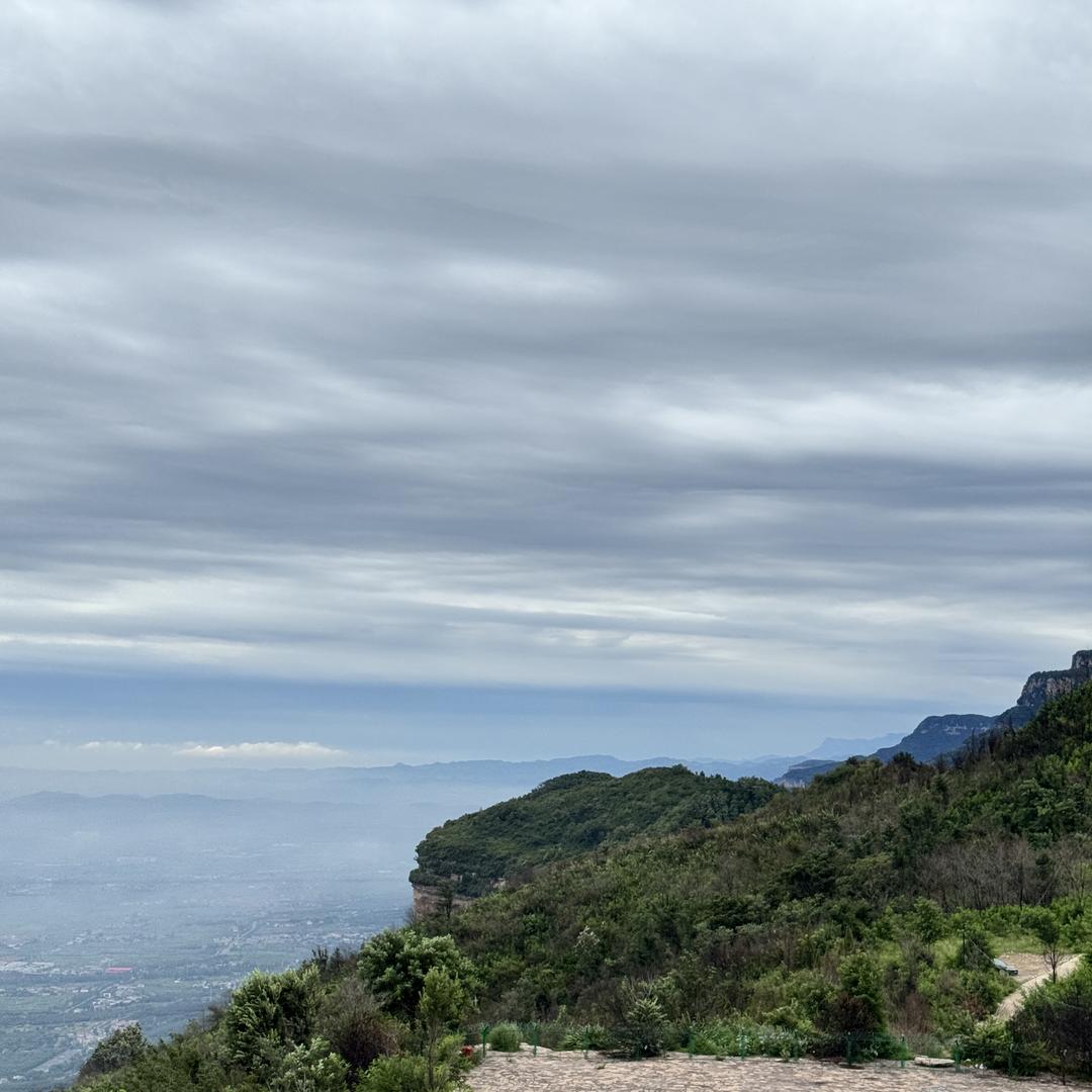 市关口谷蓝香百