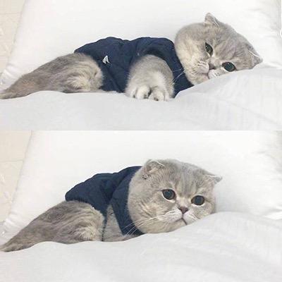 Alone。
