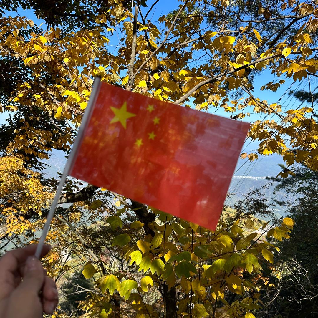 诚哥