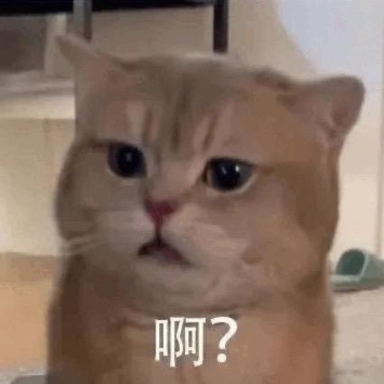 只会“啊?”