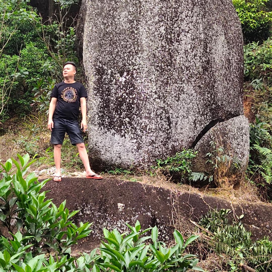 龙门镇柑鸿堂陈皮购销中心兼销售家用电器