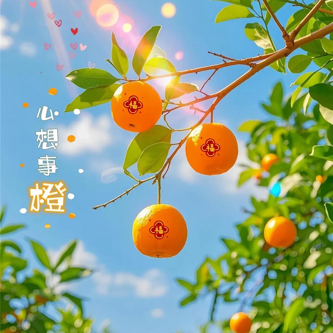 星语欣愿🍀