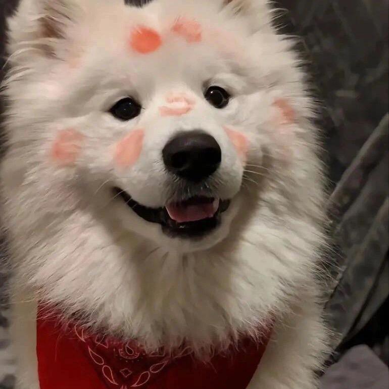 复合主页免费帮