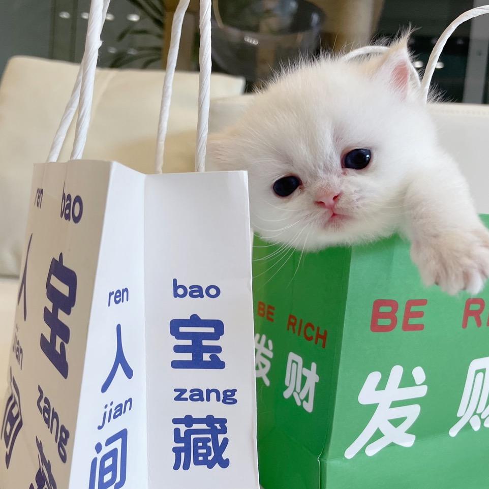 宝盈