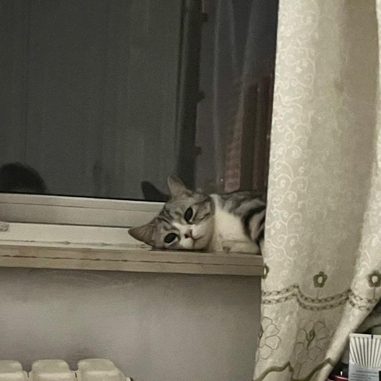 Xerrrrrrrrrrrrr