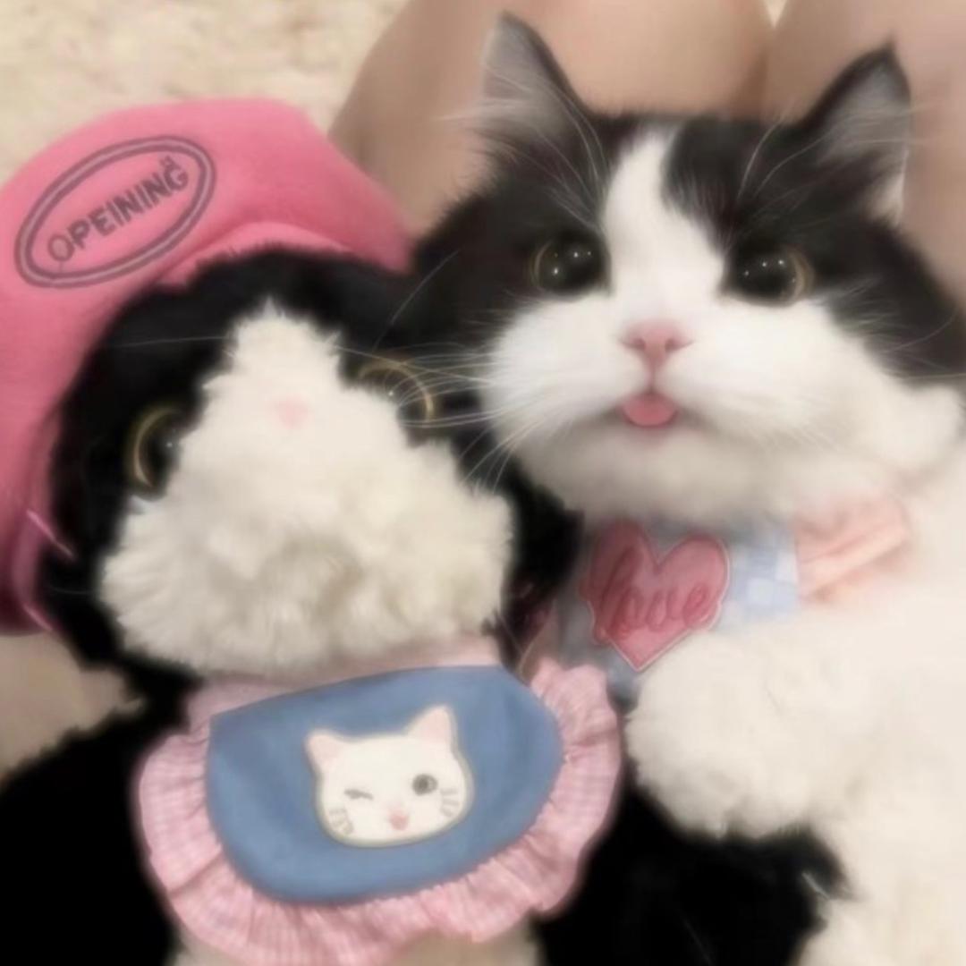 行简