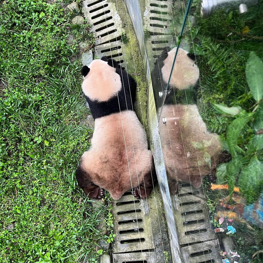 发发发
