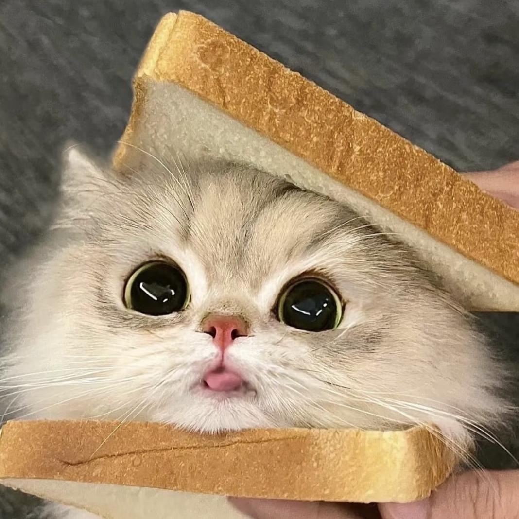 小熊维尼宠物屋