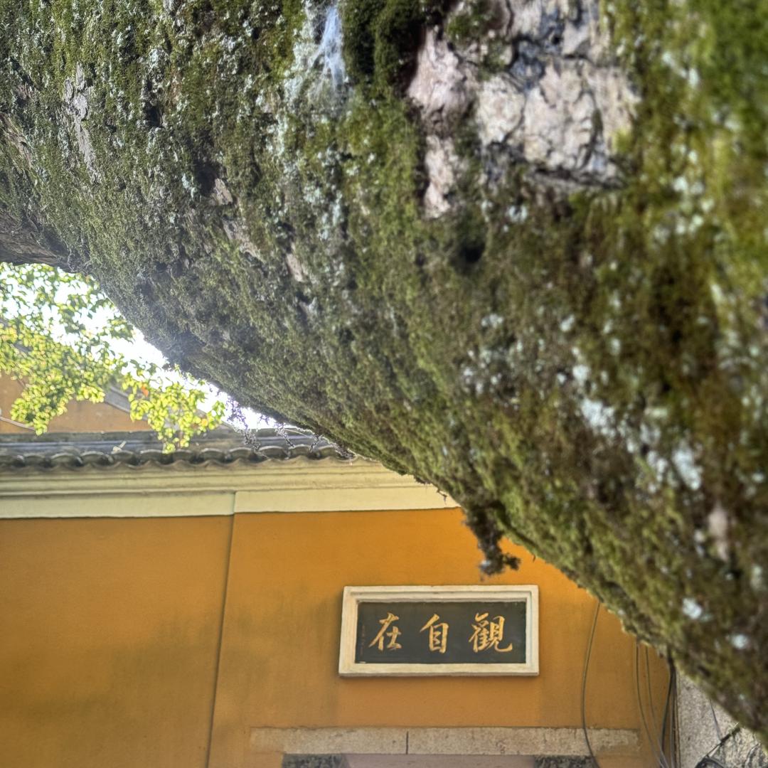 苑景文化