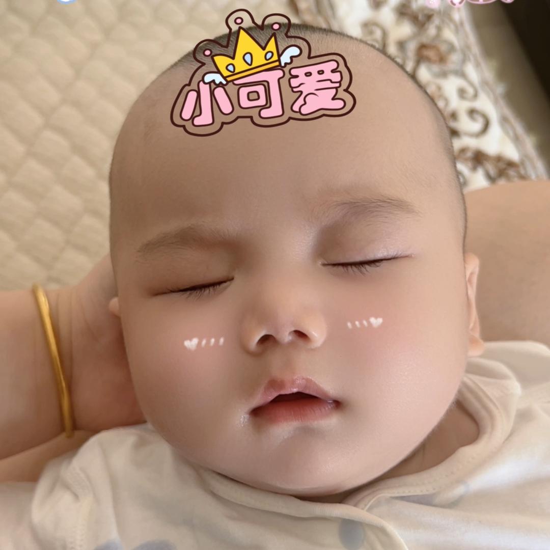 小十二的成长日记