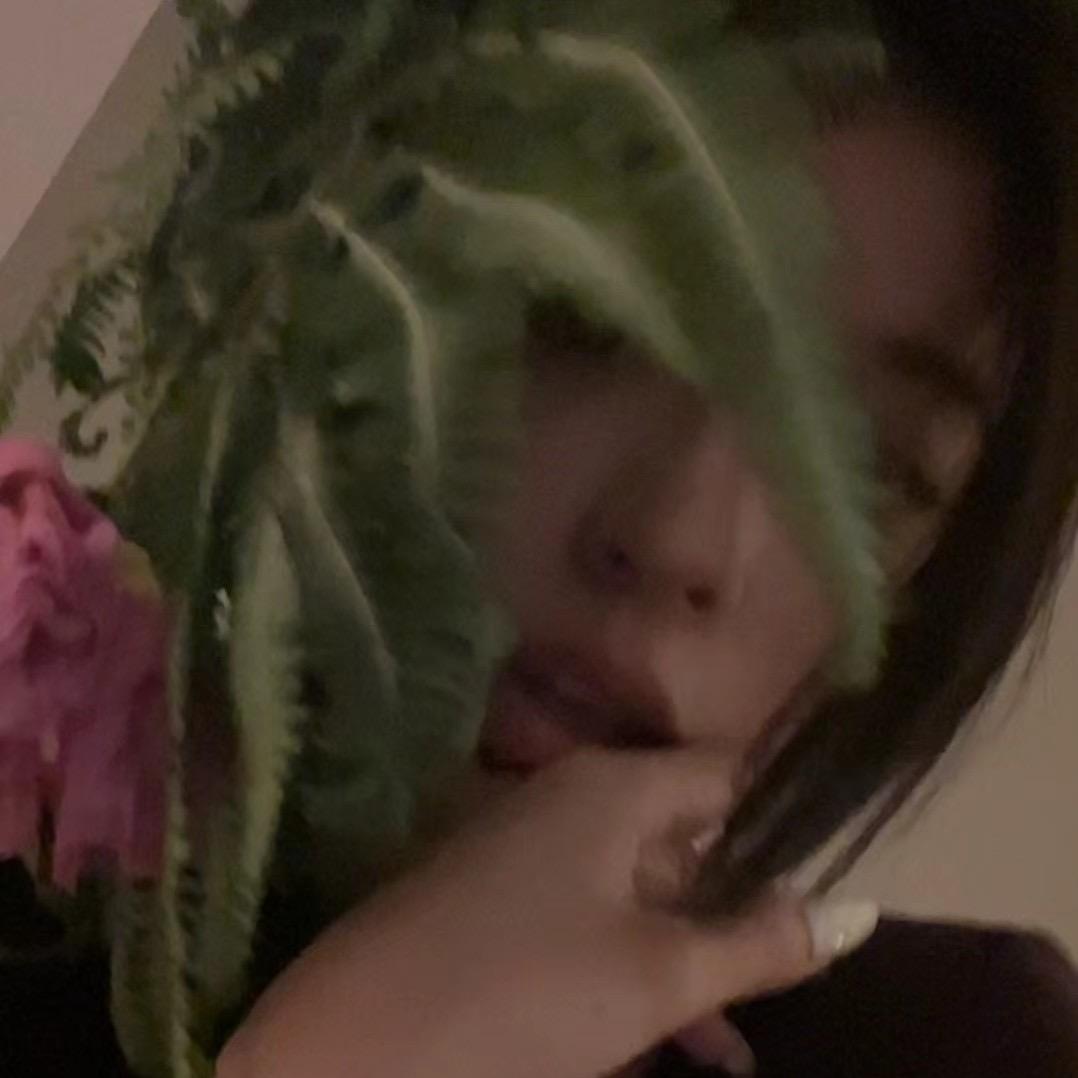 玛莎拉仙贝