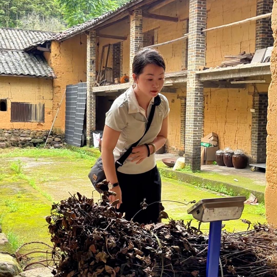 寻山榆姐
