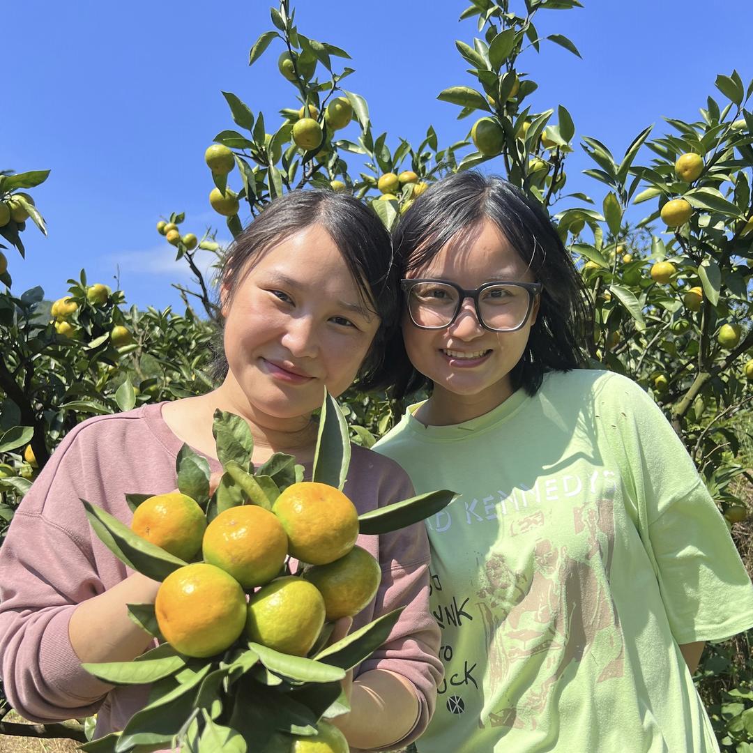 两姐妹赣南水果（寻乌蜜橘）