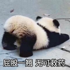 _宁