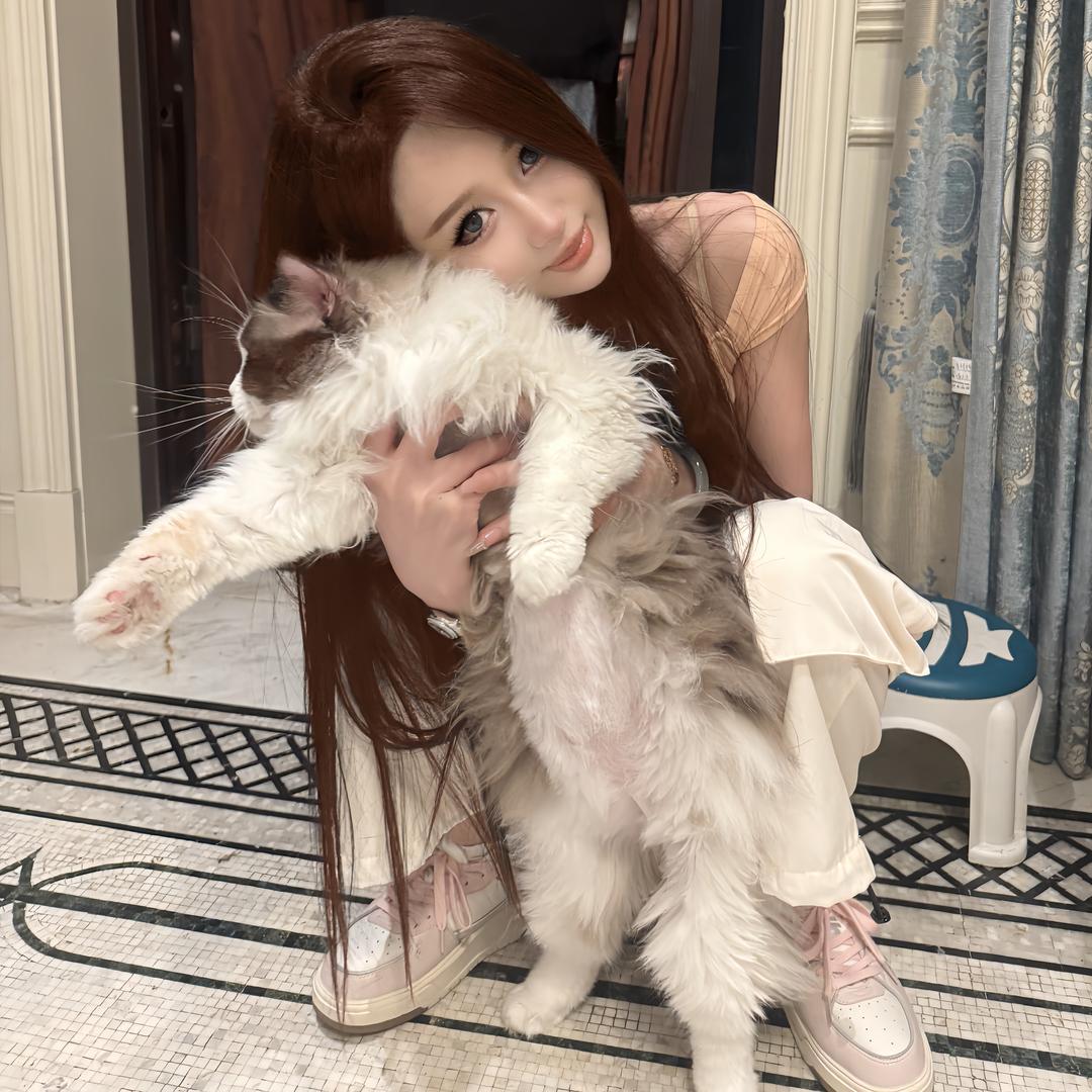 满眼星陈小姐