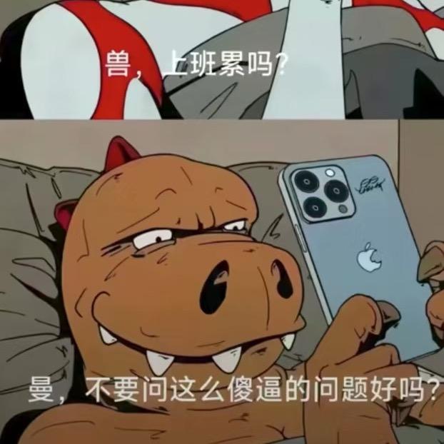 不吃大饼