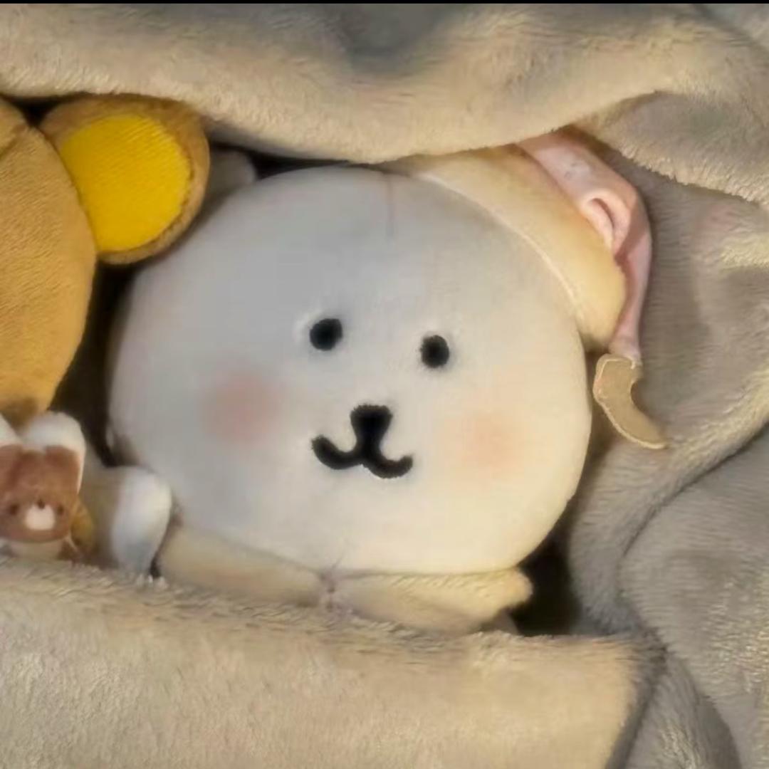 臭屁bb ෆ ̫ෆ