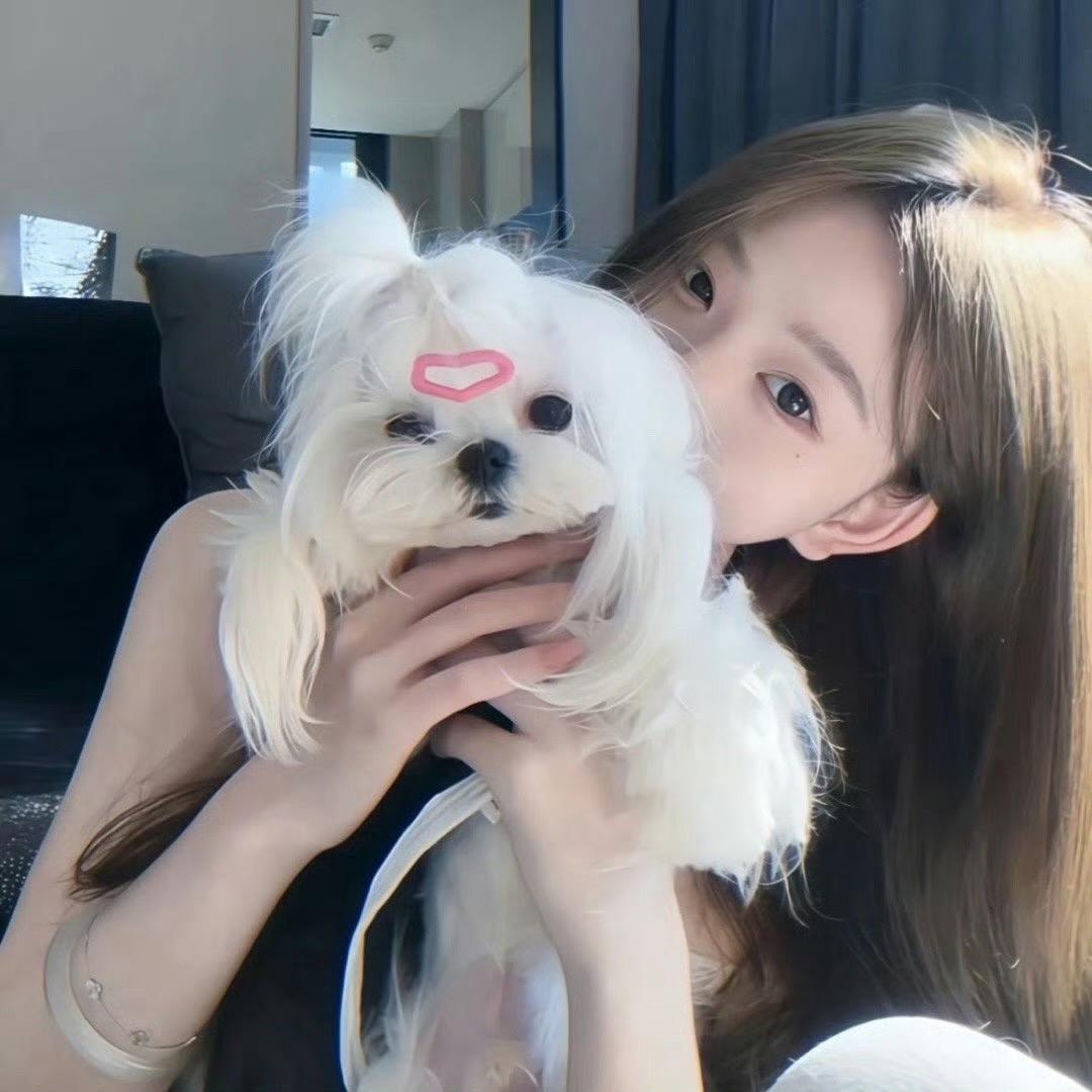 一只奶团子🐑丨