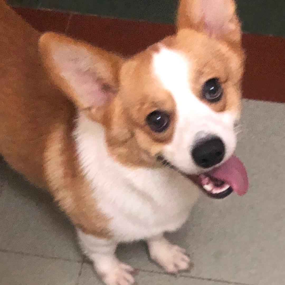 ✨阳ˉ﹃ˉ光男孩