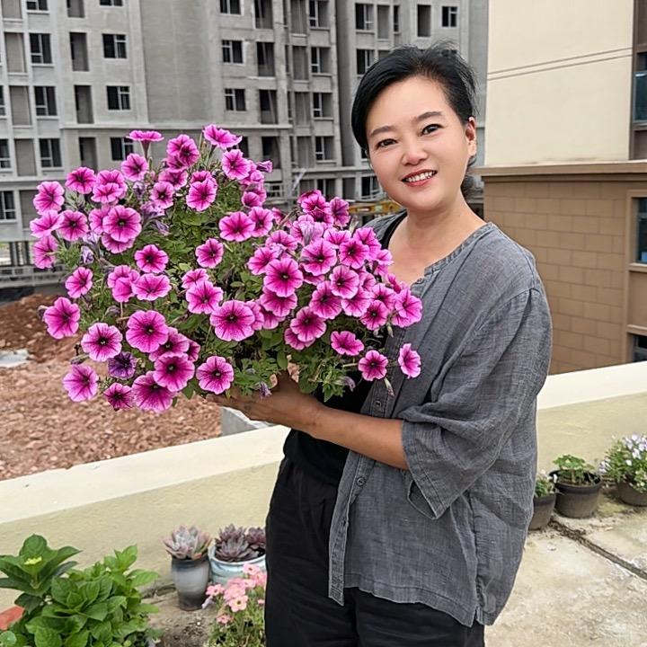 申三妹